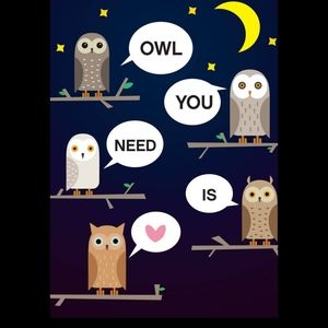 Owl Love Magnet NEW